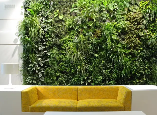 Feature Wall Vertical Garden