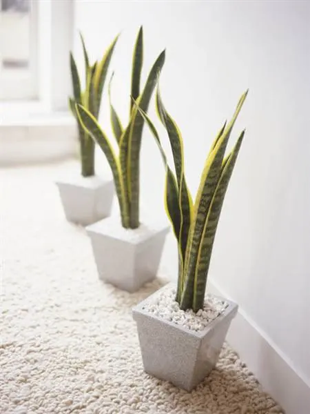 30 Indoor Planters and Pots You Can Buy Now