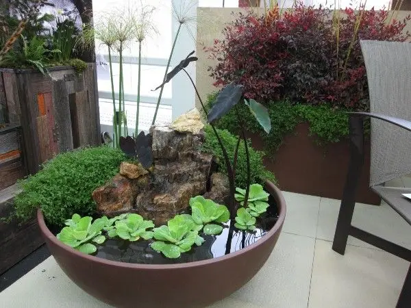 garden in a bowl feature