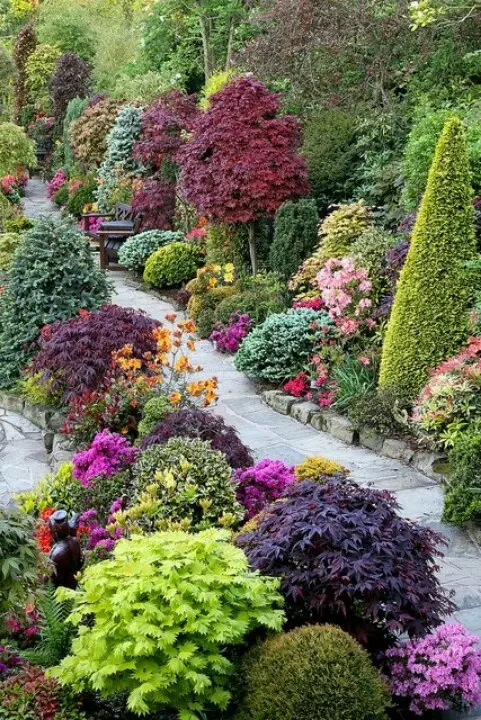 vibrant and sculptured garden