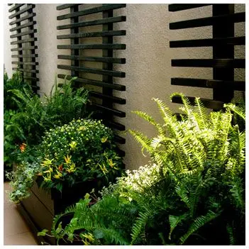 Japanese style box gardening