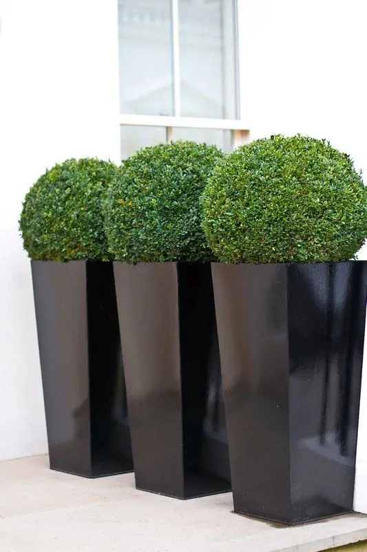 large gloosy black planters