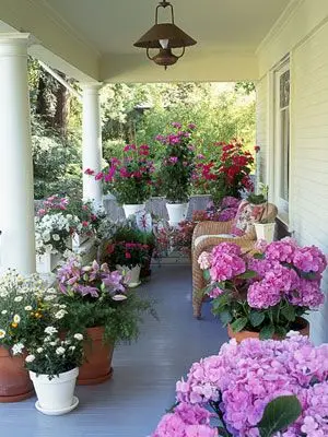 potted flowering plants