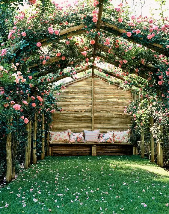 rustic pitched pergola with rose climbers