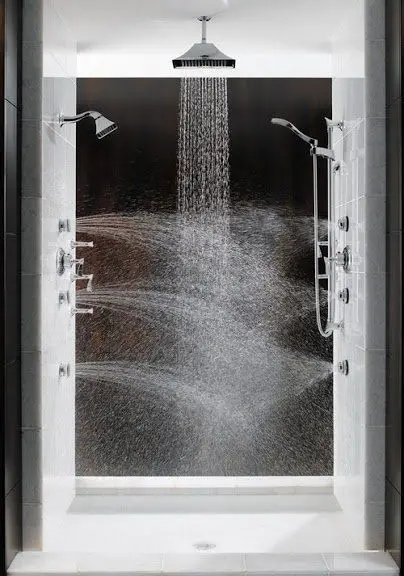 multi-directional shower