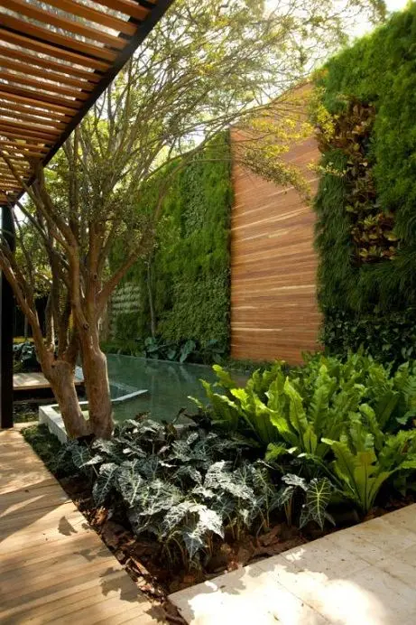 lush back yard oasis