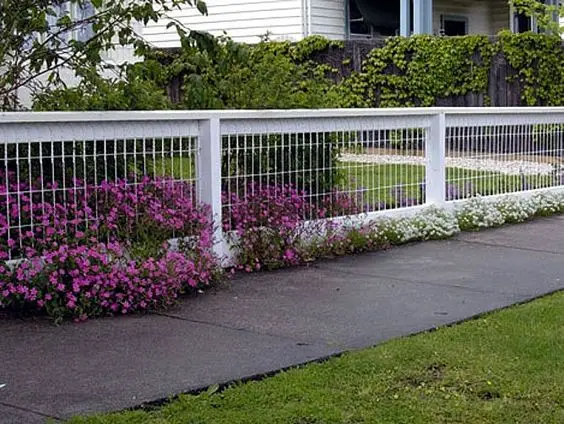 classic white fence