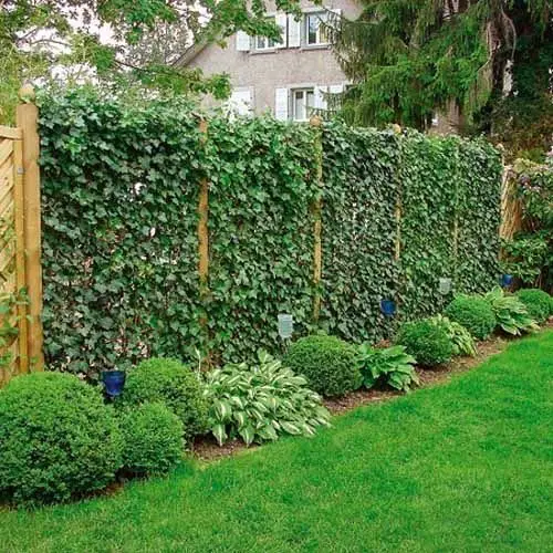 live fence