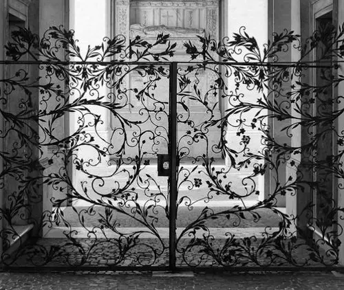 graceful black metal gate