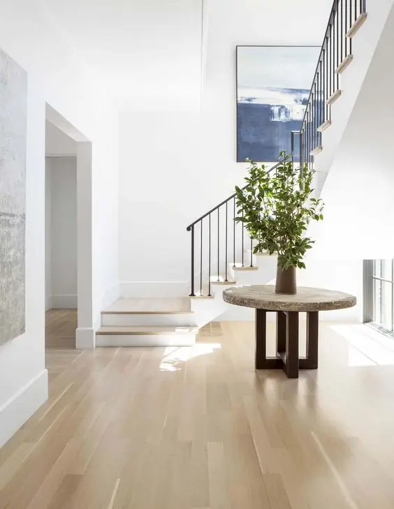 minimalist modern foyer