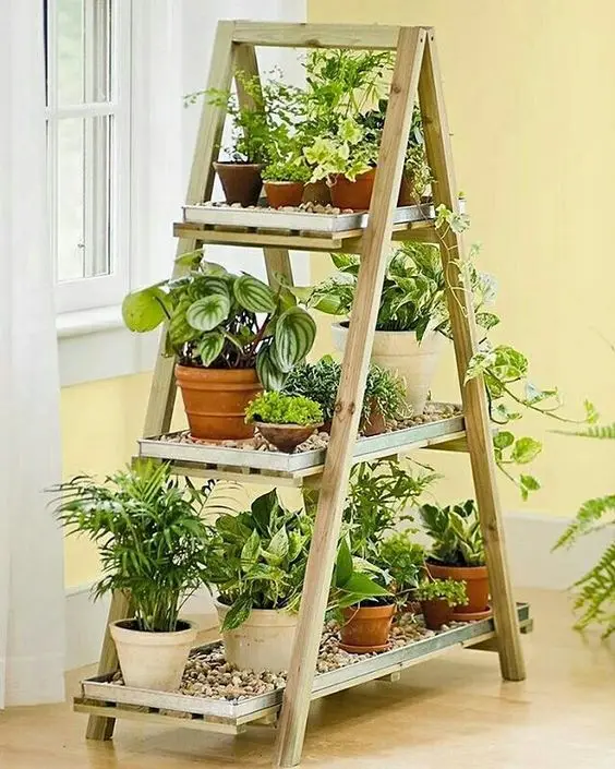 plant ladder