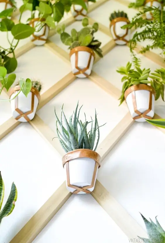 trellis wall plant holder