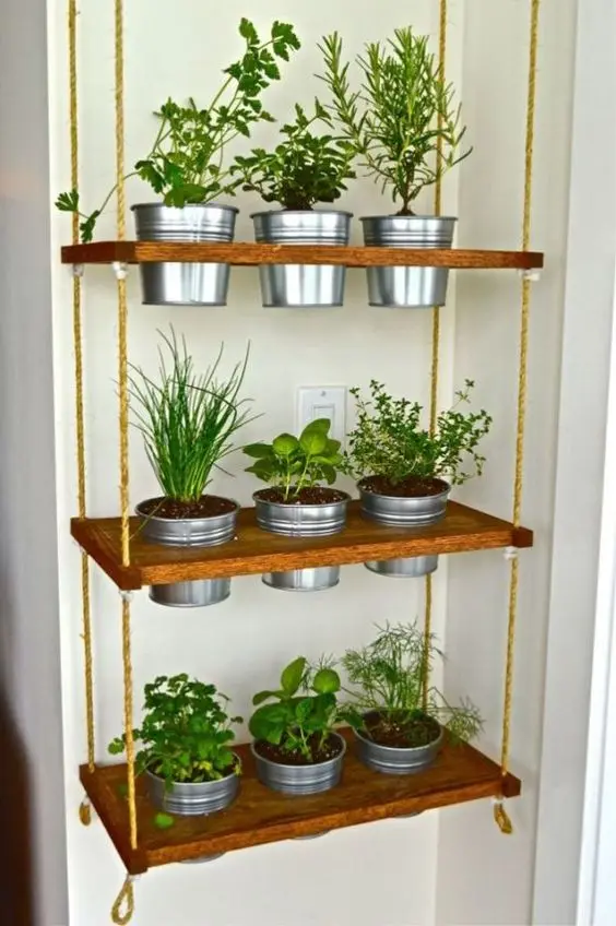 hanging planter