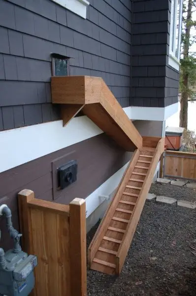 dog ramp