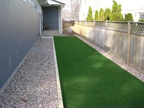 dog run