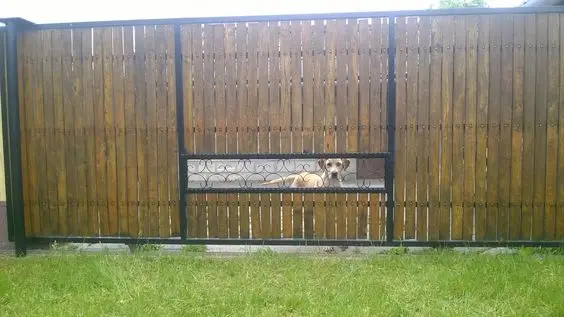 fence with pet window