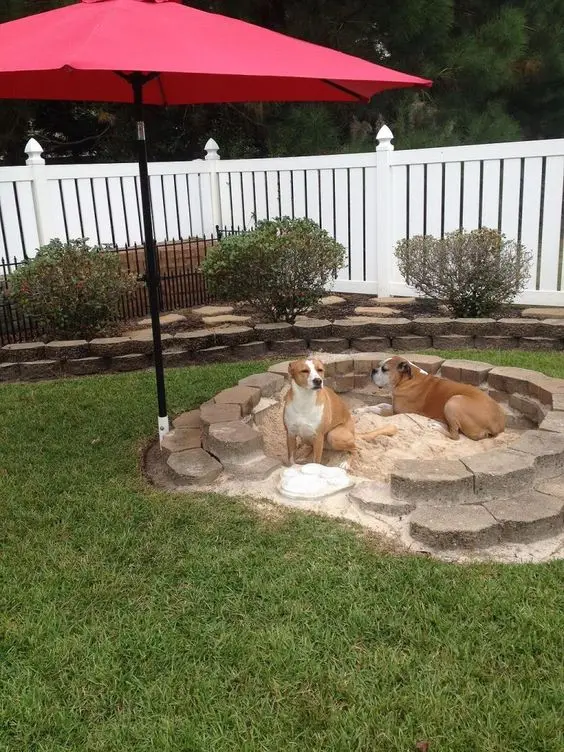 sandpit for dogs