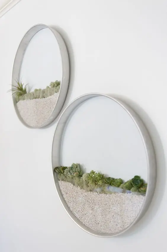 wall succulent terrarium