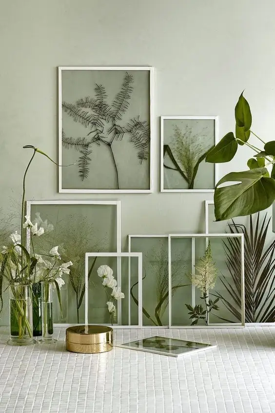 framed plants