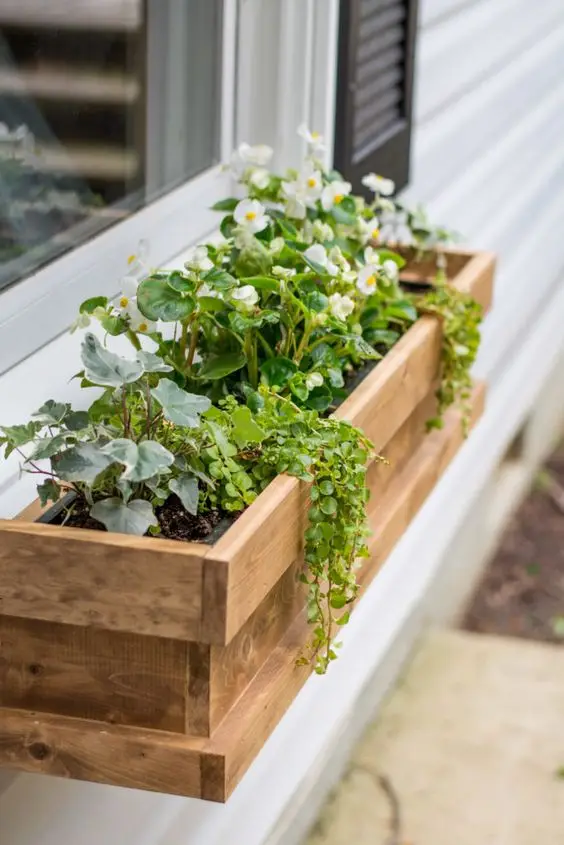 window flower box