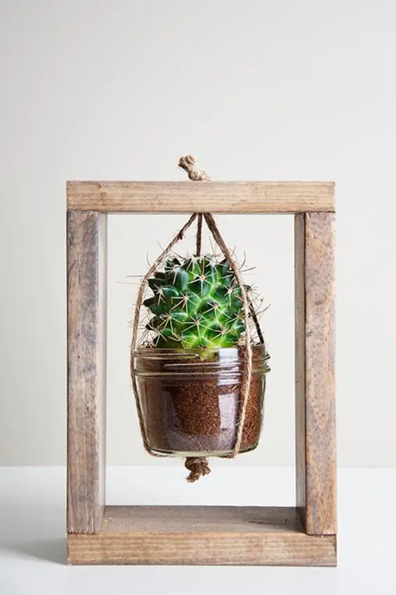 succulent planter