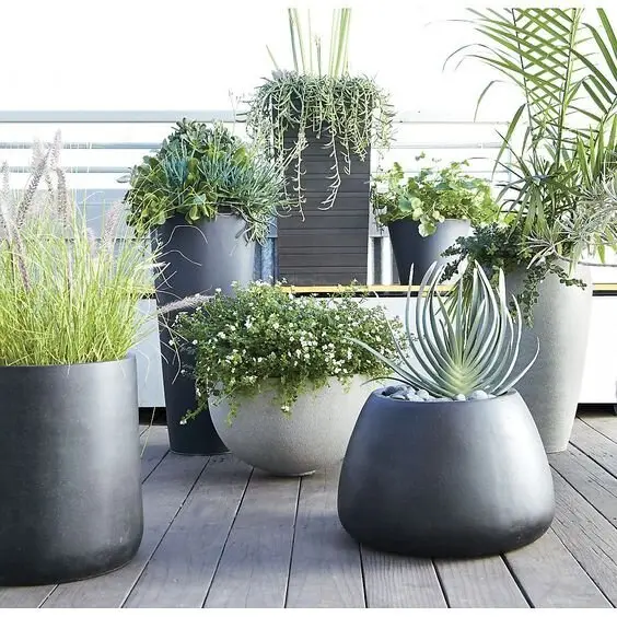 huge modern planters