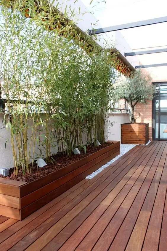 potted bamboos on deck