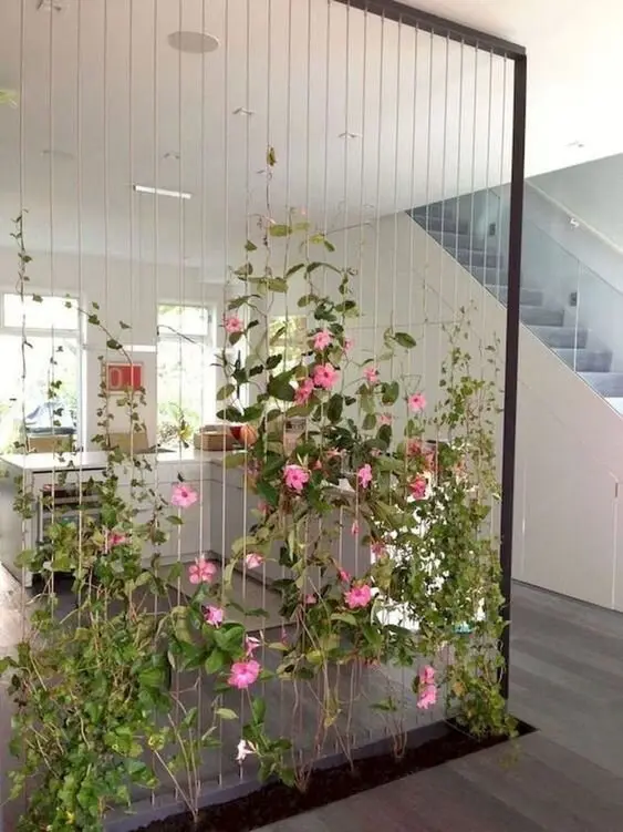 indoor garden screen