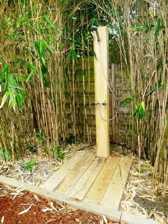 bamboo trees and shower