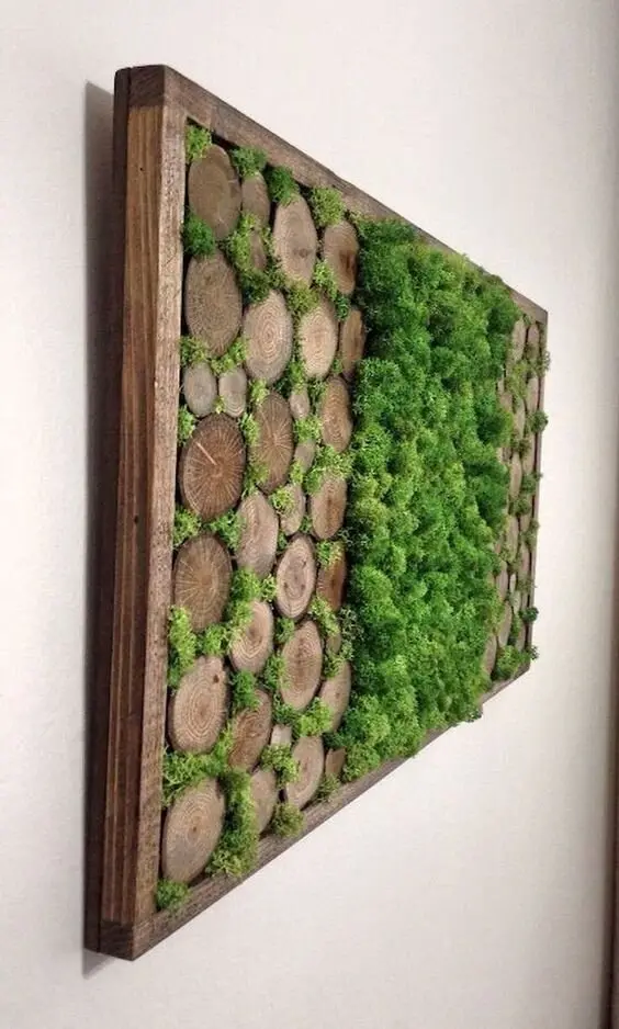 wall live moss garden