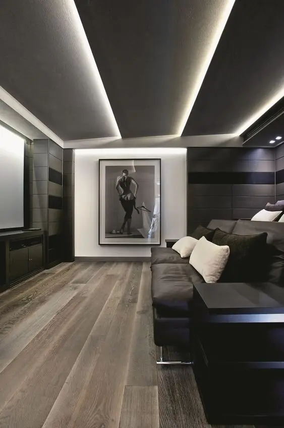 luxurious media room