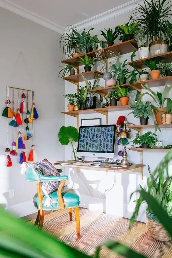 plants home office