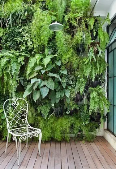 live garden wall fence