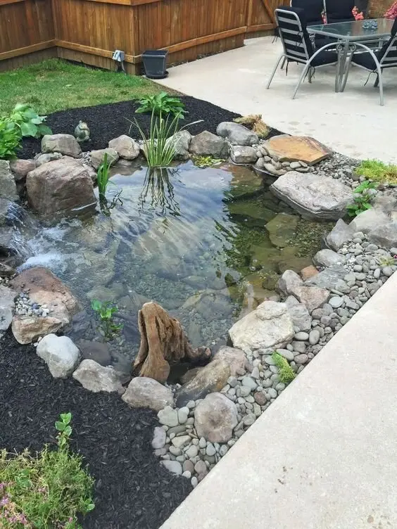 backyard pond