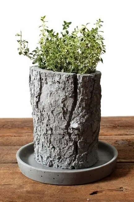 concrete planter