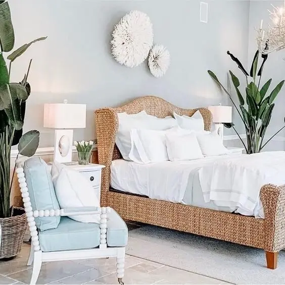 seagrass bed