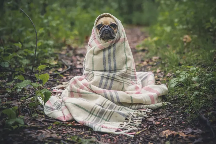 A soft plaid blanket ready for the couch